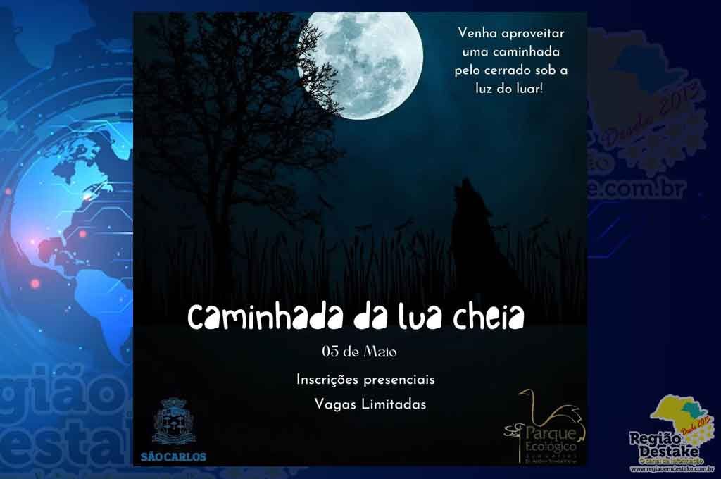 CAMINHADA