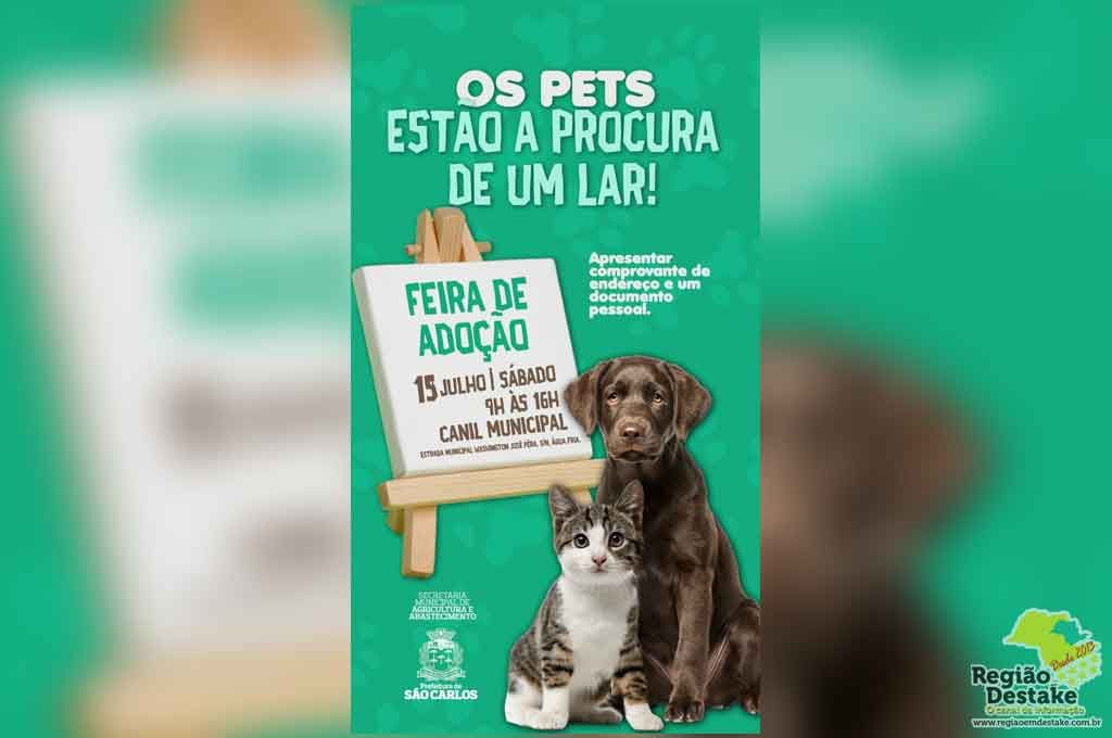 FEIRA