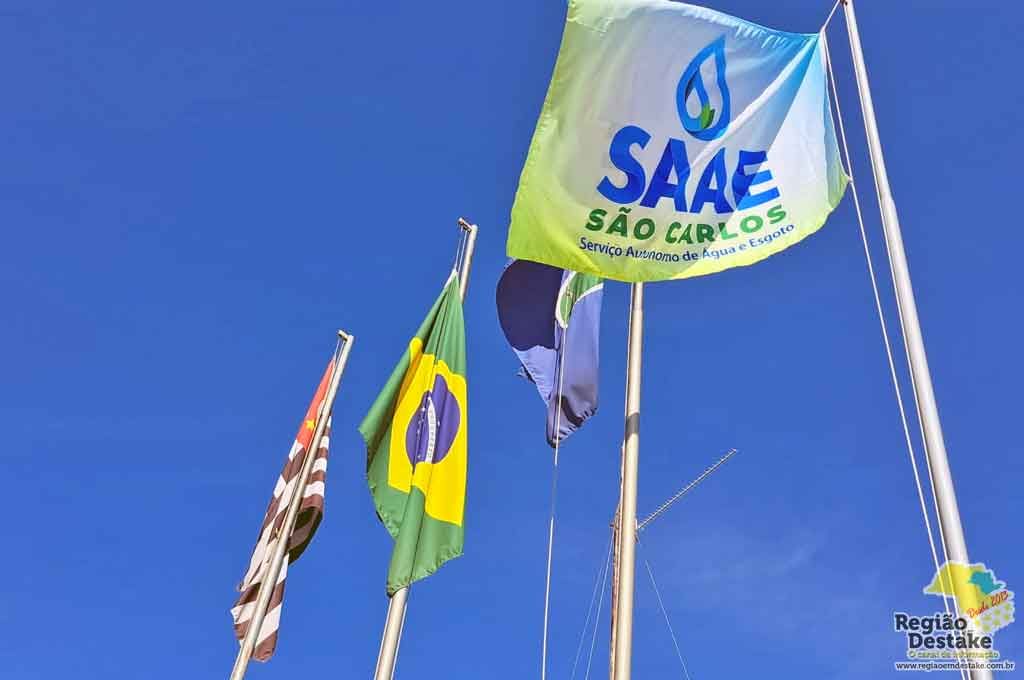 SAAE1