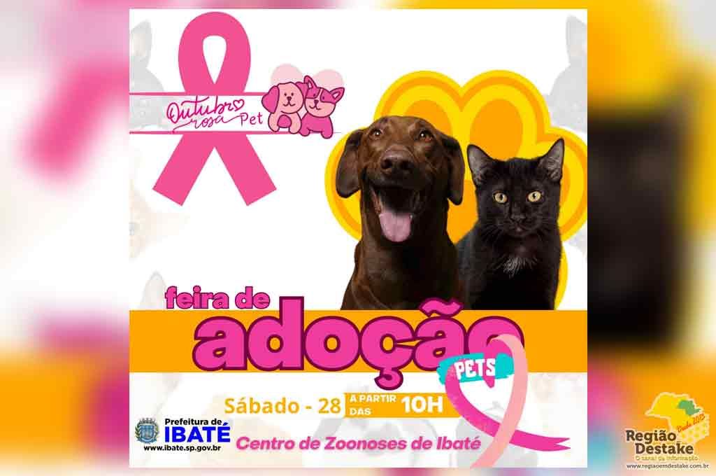 feiraadocao