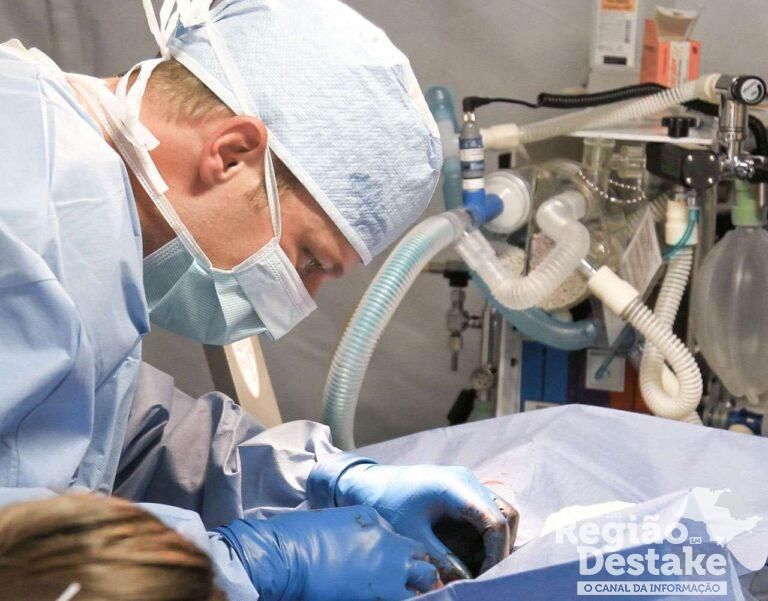 pexels-photo-263210-1-1