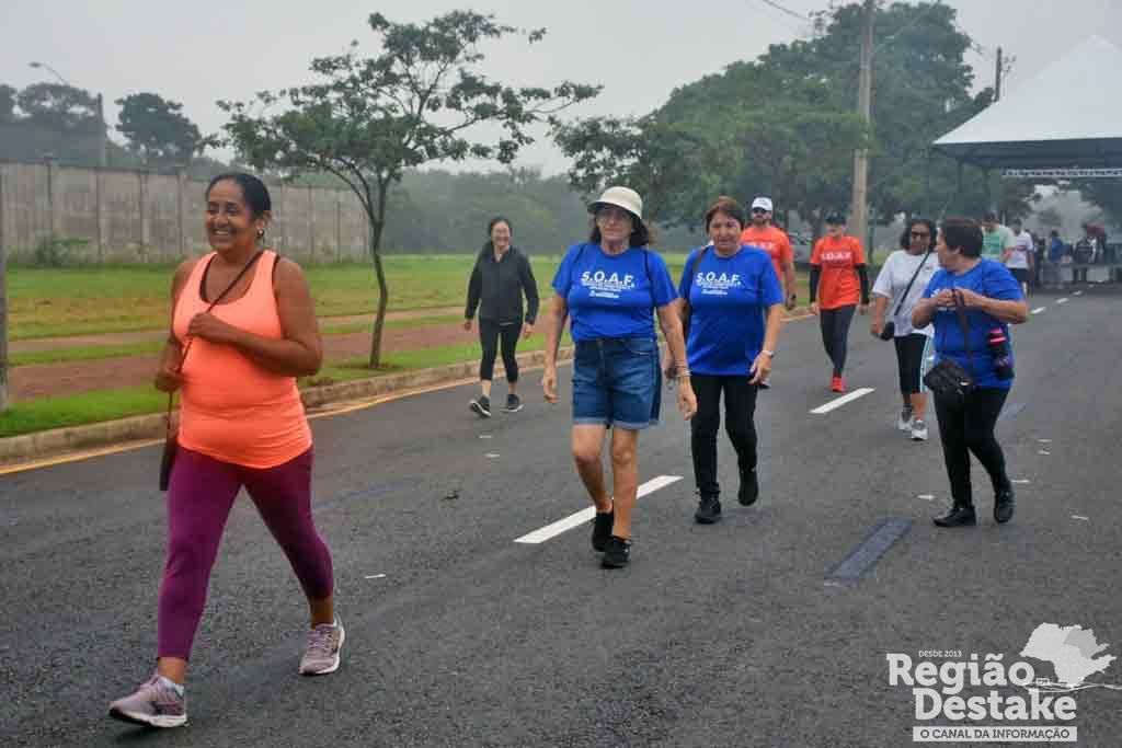 sedentarismo04