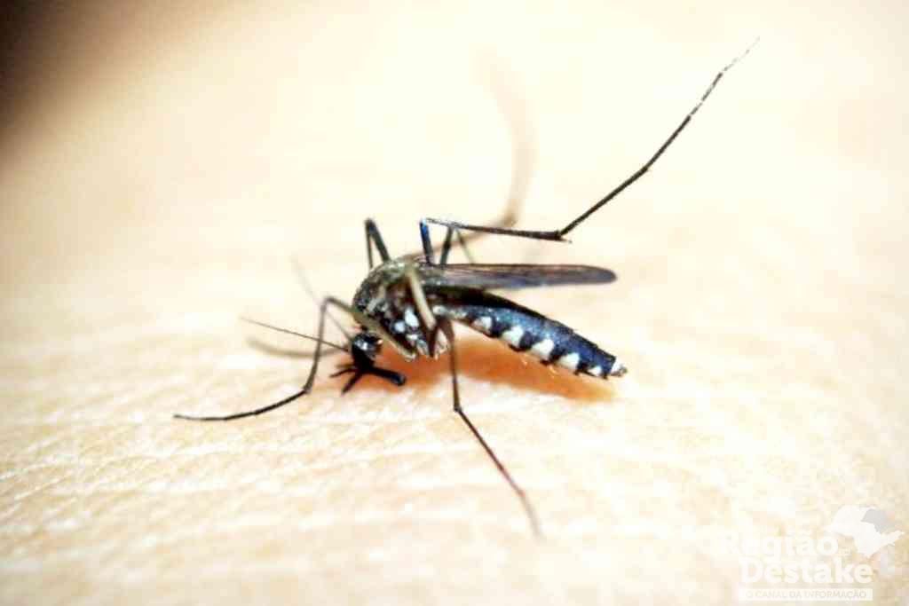dengue-mata