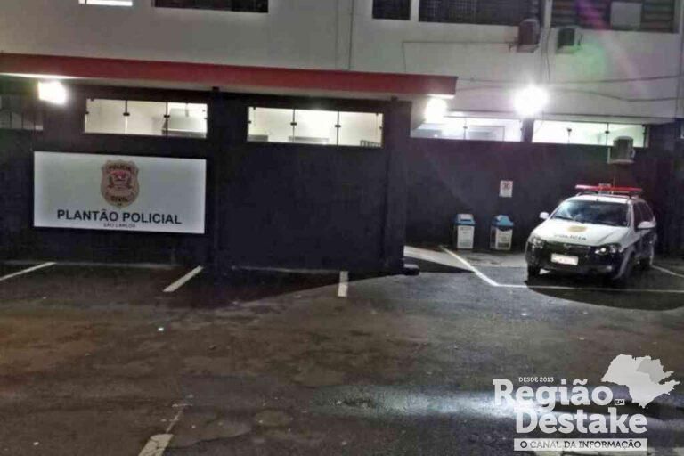 plantao