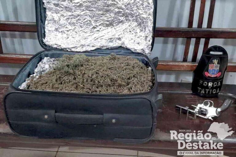 maconha