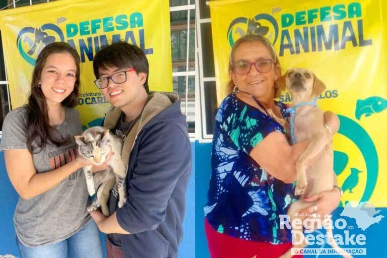 feira-animais