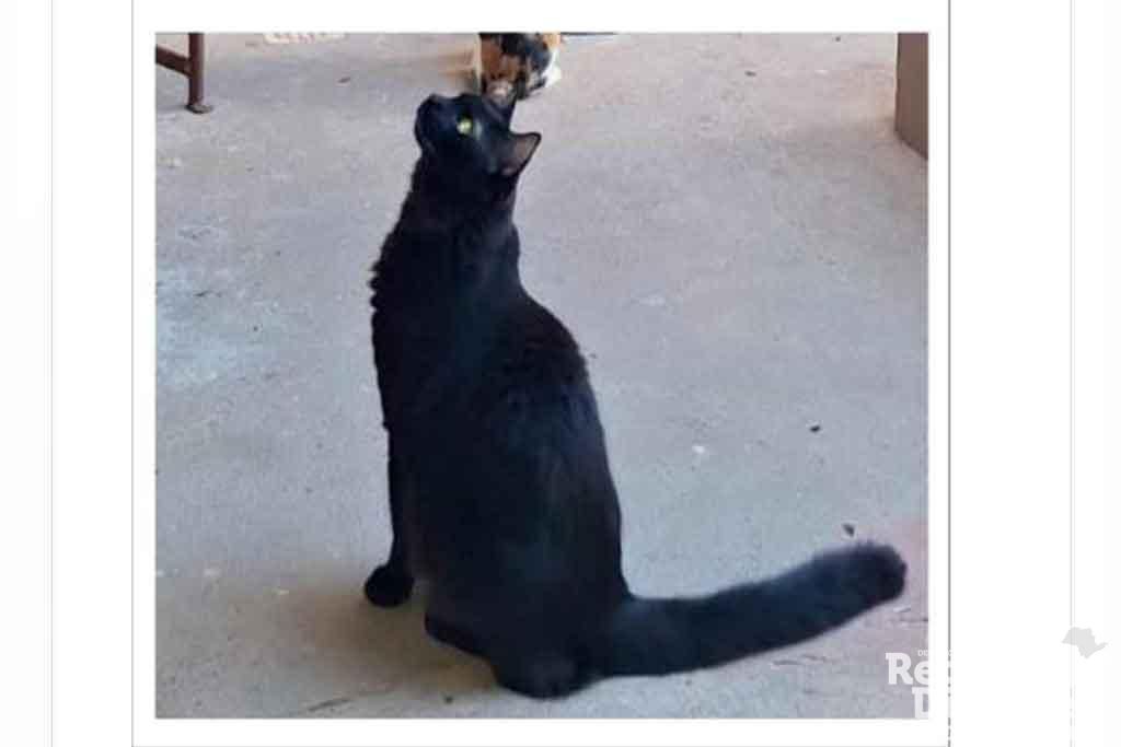 salem