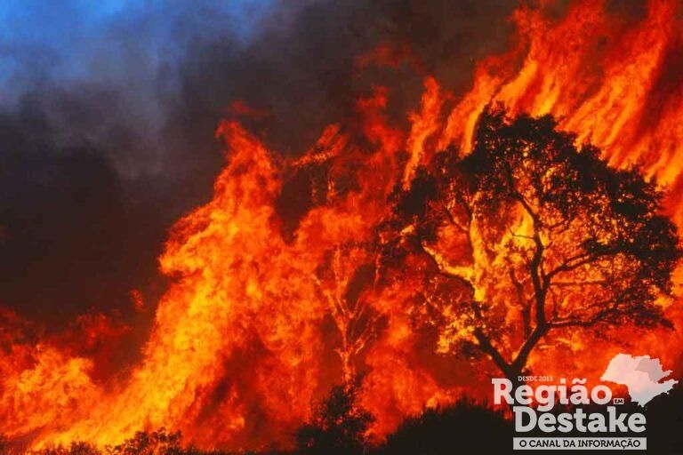 incendio01