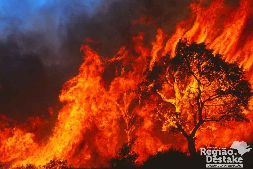 incendio01