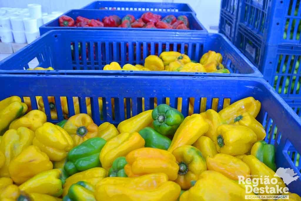agricultura04