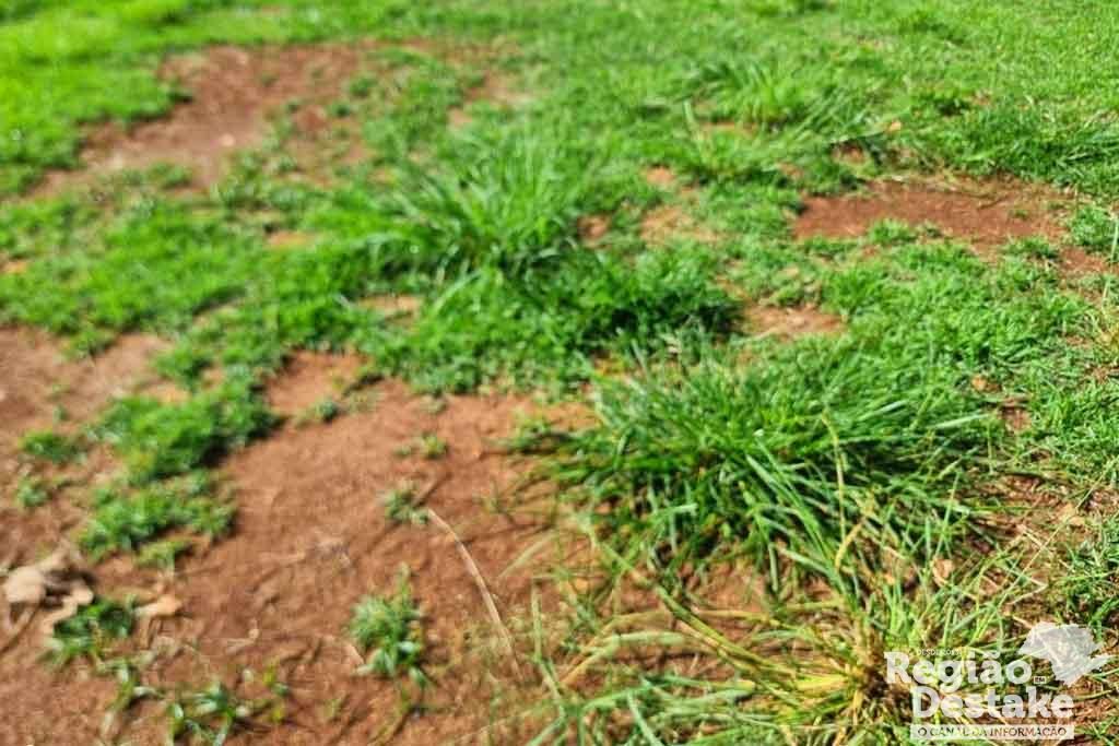 campo01