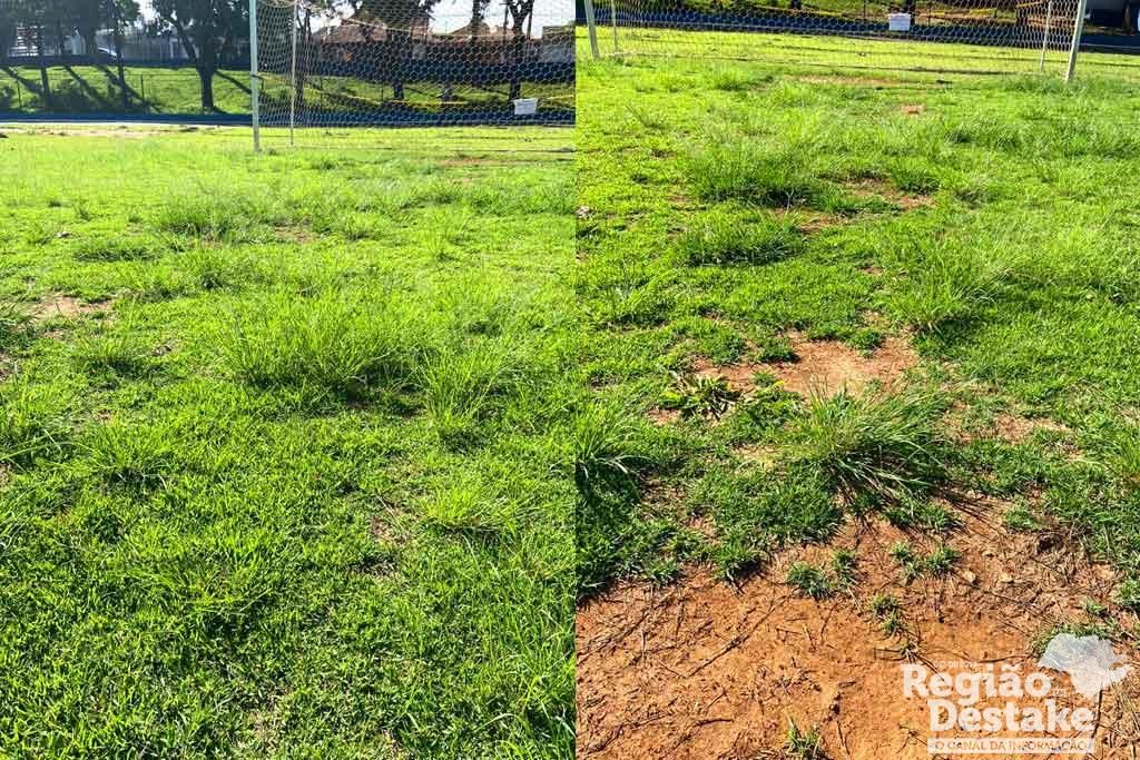 campo04
