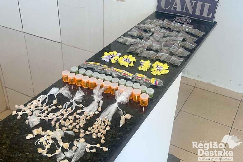 canil-drogas