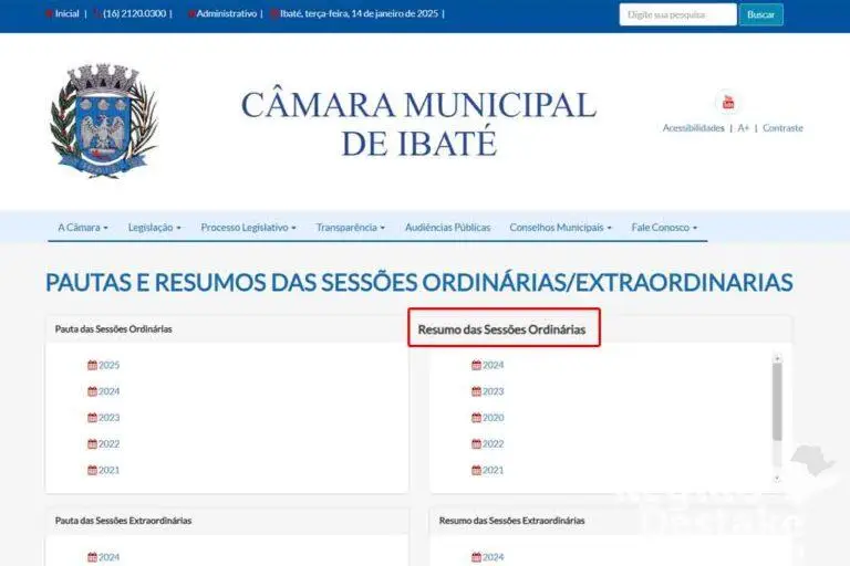 resumo