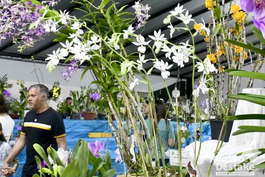 orquideas08