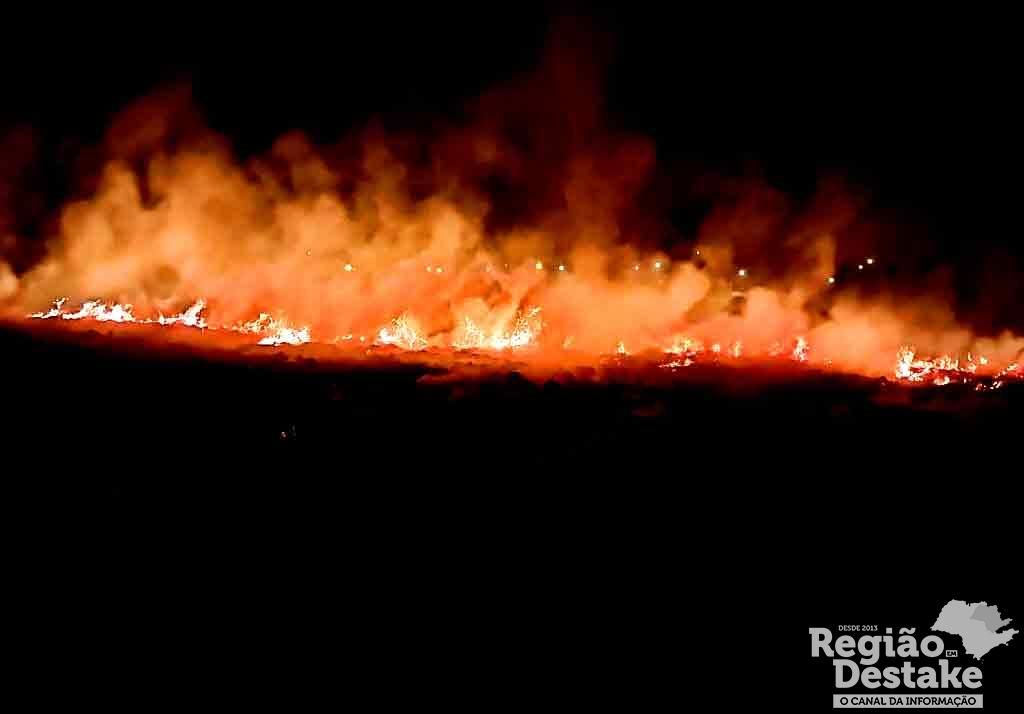 FOGO01