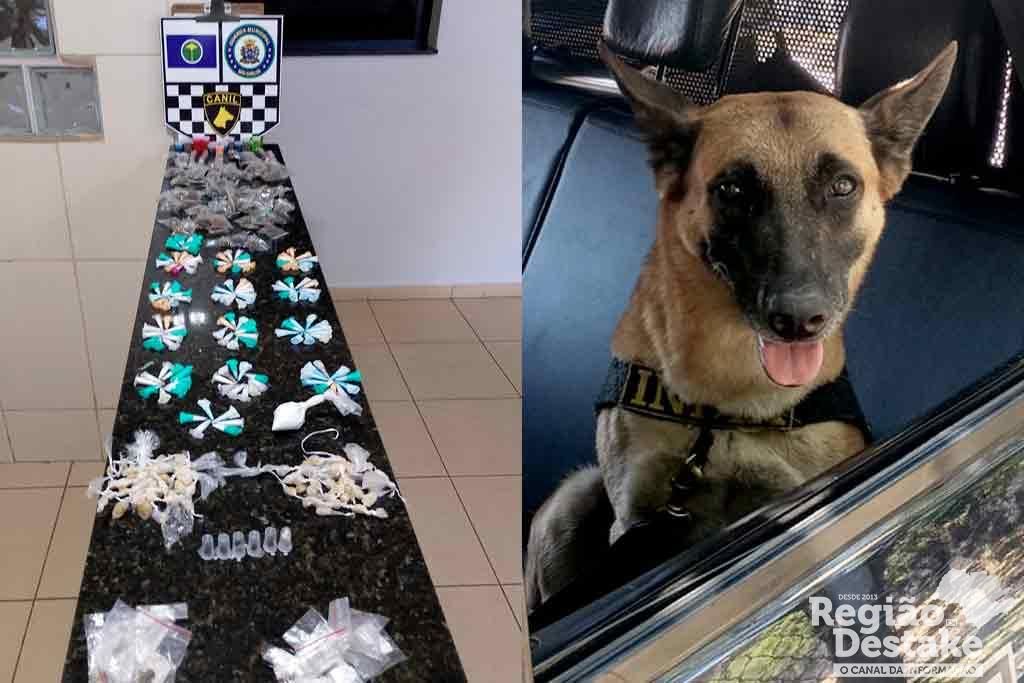 drogas-k9