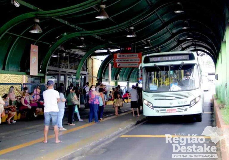 onibus