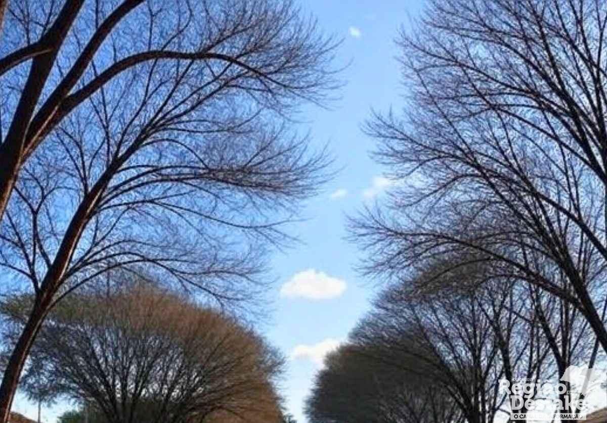 TEMPO2