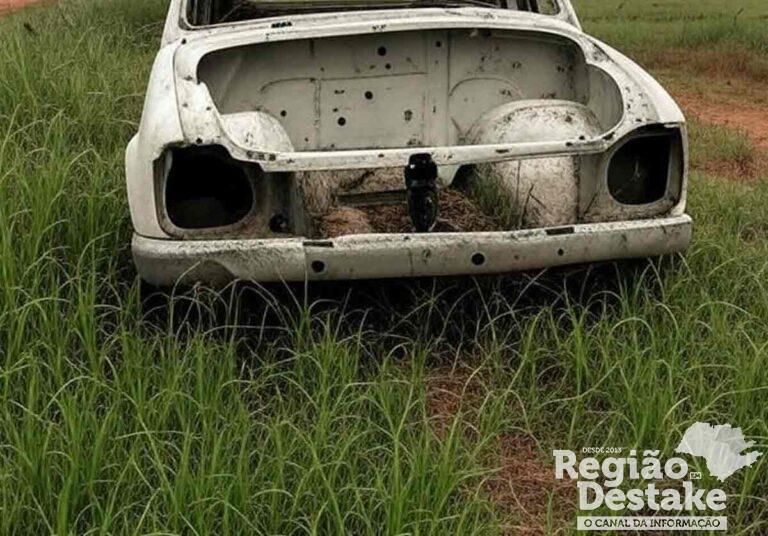 carro-