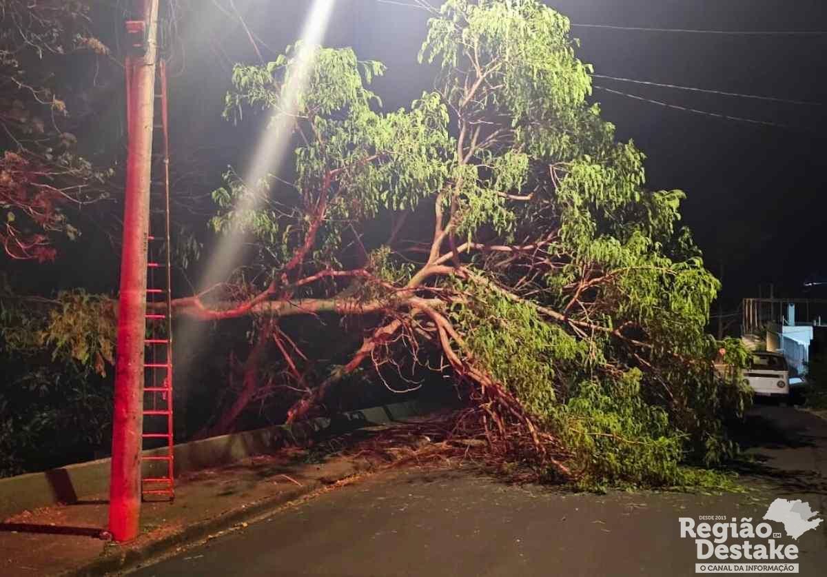 Base fotos site_20250906_004841_0000