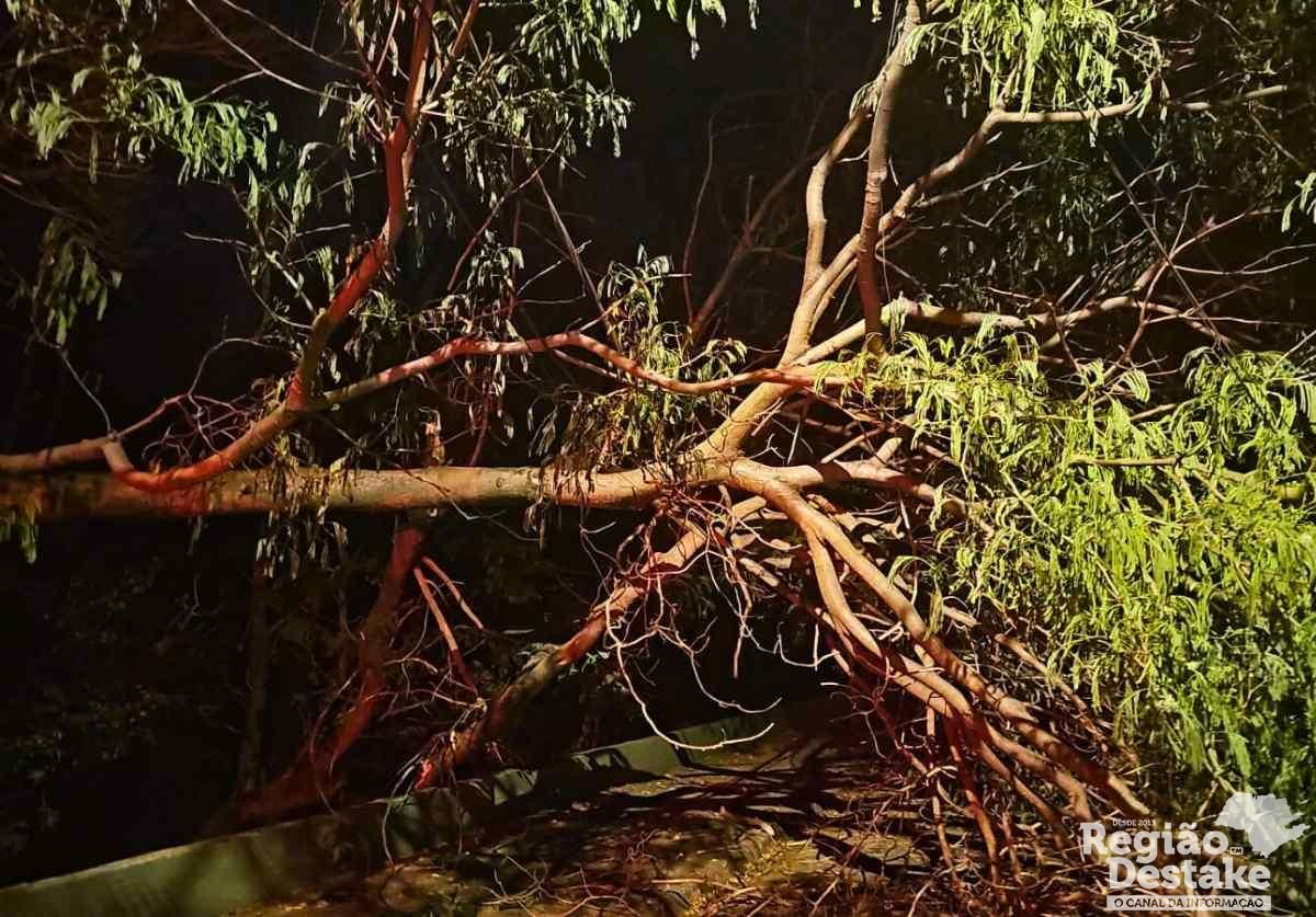 Base fotos site_20250906_004905_0000