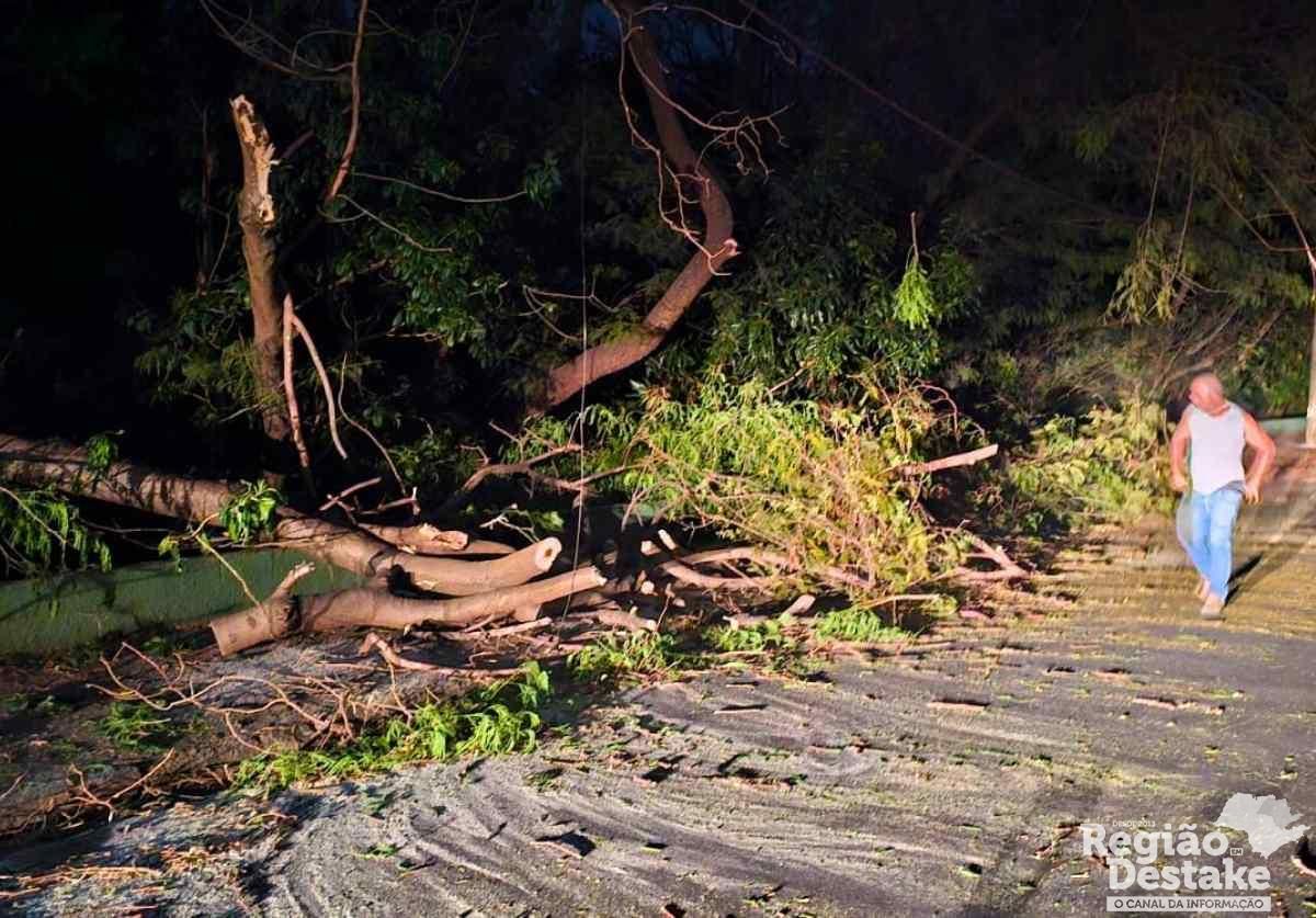 Base fotos site_20250906_004953_0000