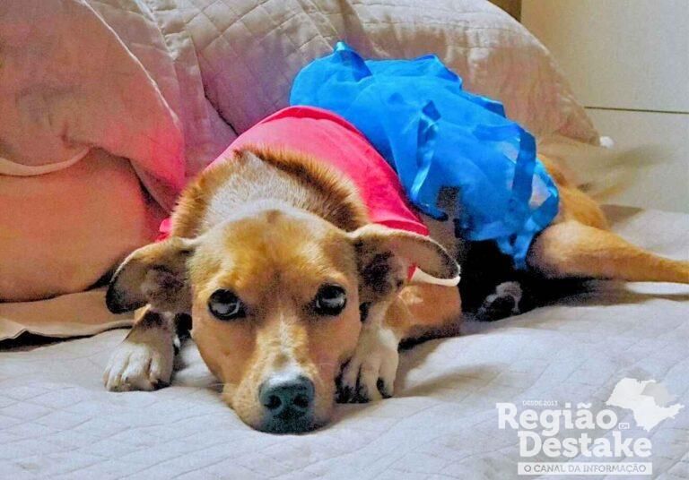 Base fotos site_20251016_041614_0000