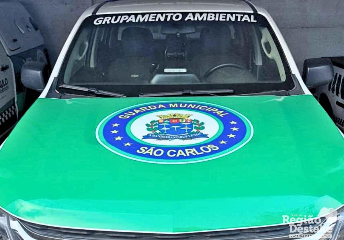 guarda-saocarlos