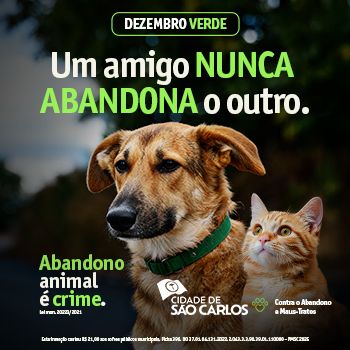 BANNER INTERNET_São Carlos_Dezembro_350x3500px_ Região em Destake