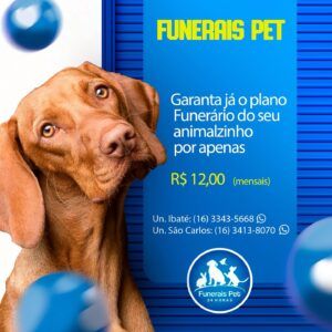 funerais pet