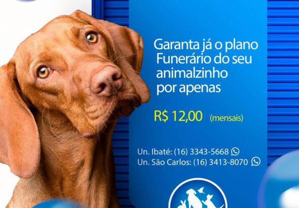 funerais pet