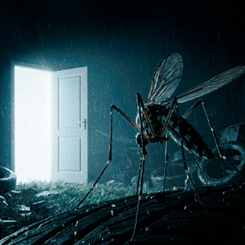 sc_dengue_banner_350x350px