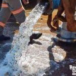 base fotos site (1200 x 800 px)_20260214_111831_0000