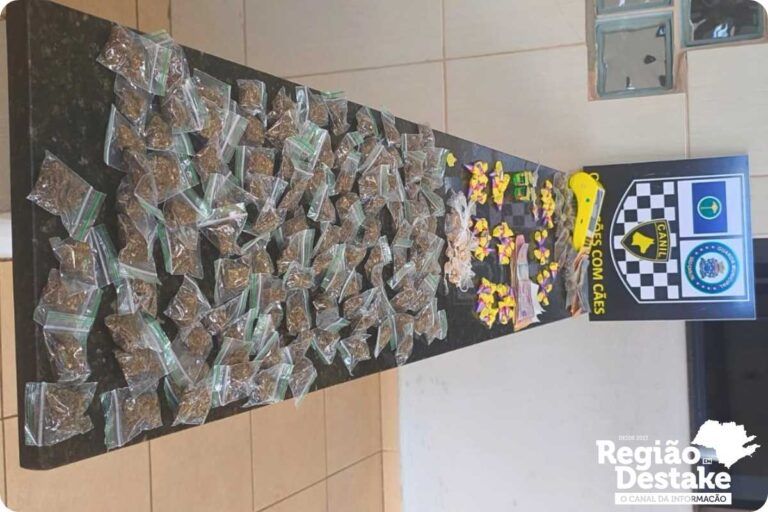 base fotos site (1200 x 800 px)_20260304_143904_0000