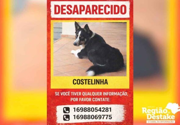 costelinha