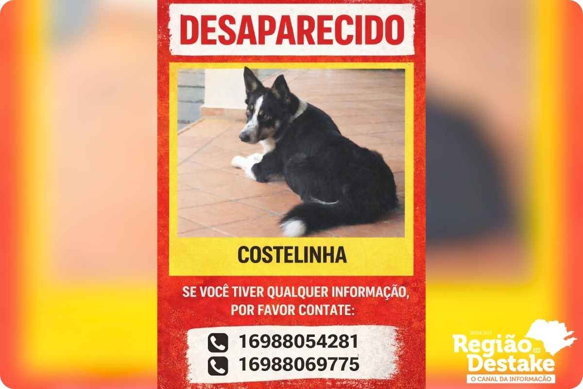 costelinha