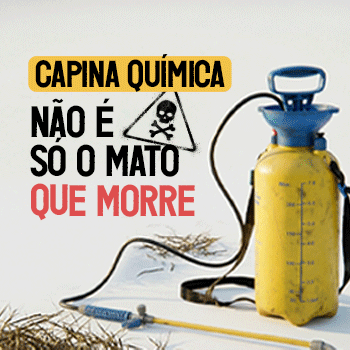 quadrado-lateral-350x350