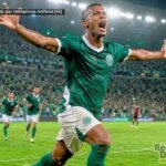 PALMEIRAS2