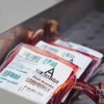 SANGUE