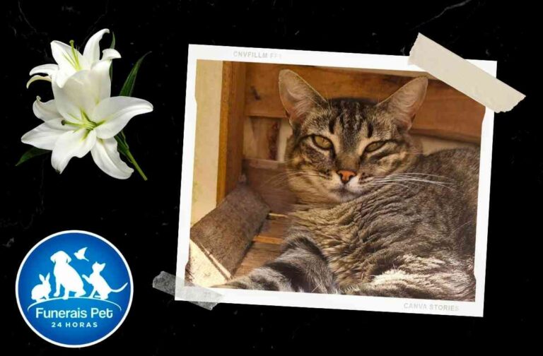 mele