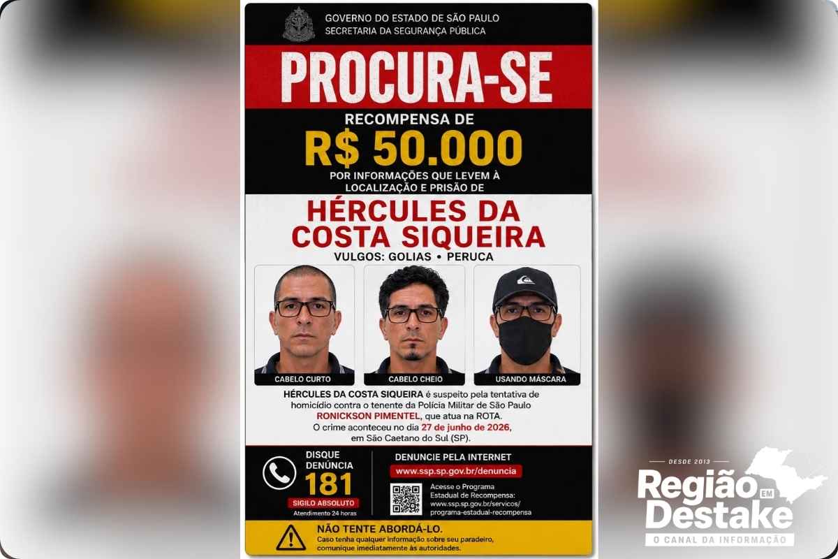 procura-se