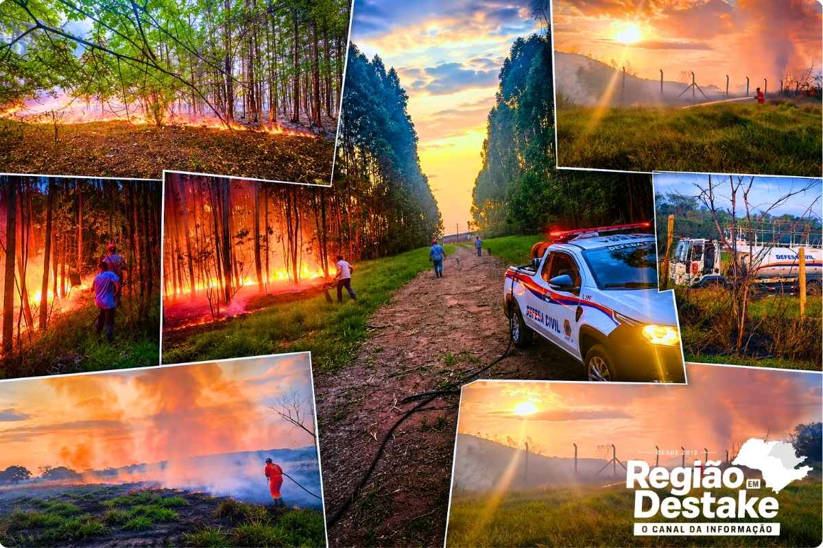 defesa
