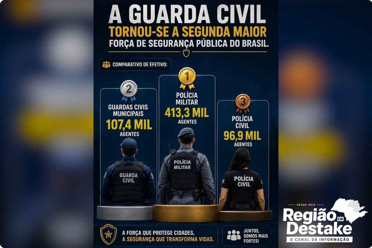 guarda