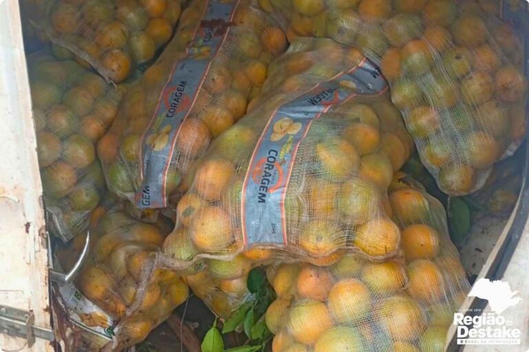 laranjas