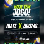 volei