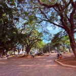 Dia das Crianças em São Carlos