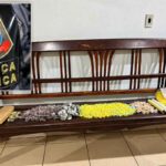 forca-tatica