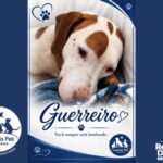 guerreiro