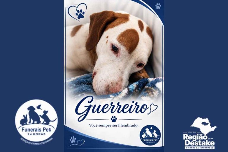 guerreiro